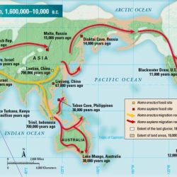 Trade Routes Pinterest